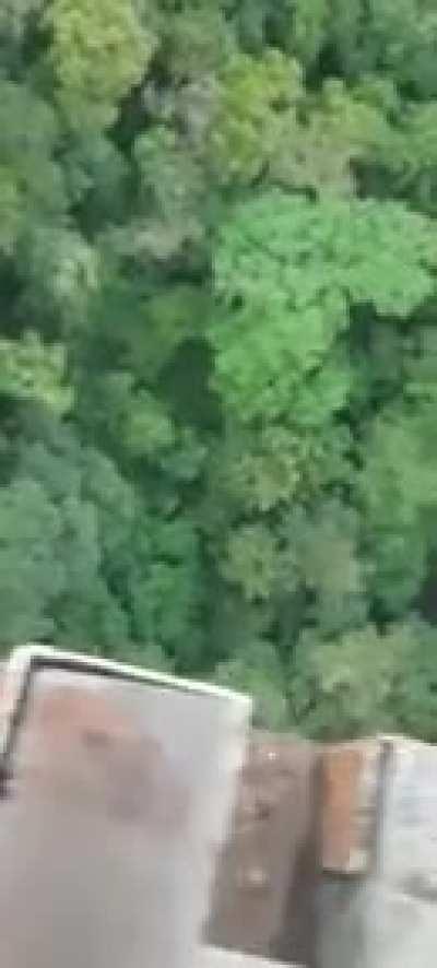 Homemade Brazilian train.