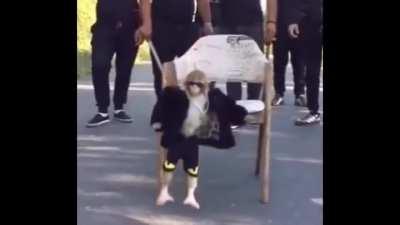 Hooman attracted to Monke