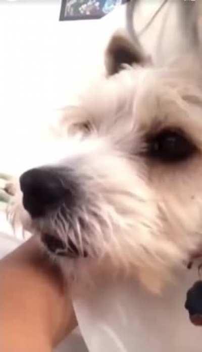 That reaction at the end. Covid?! LOL