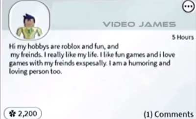 Hi my hobbys are roblox and fun
