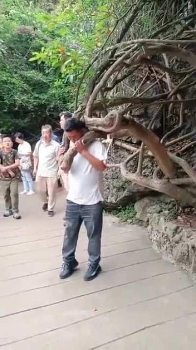 From photo op to awkward scenery