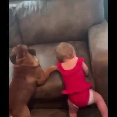 Short People Problems