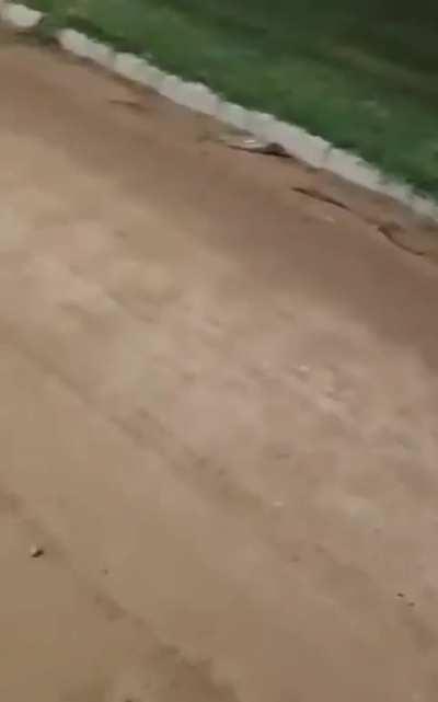 Baiano mais fraco do SENAI 