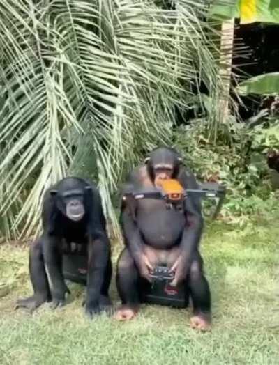 Monke flying the drone.