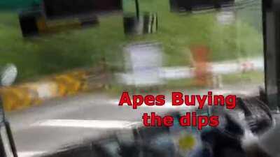 I'm not a super pro at editing but it's time for more memes for le squeeze