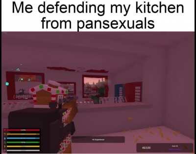 Me defending my kitchen from the pansexuals