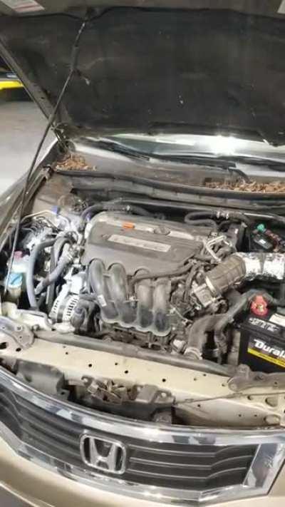 Customer States: Hesitation on acceleration