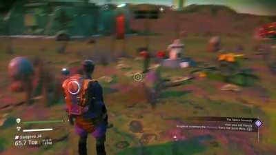 Away from my ship stupid bear!