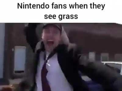 BOTW fans when they go outside and see how many references are from the game