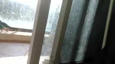 Excuse me, you need to move