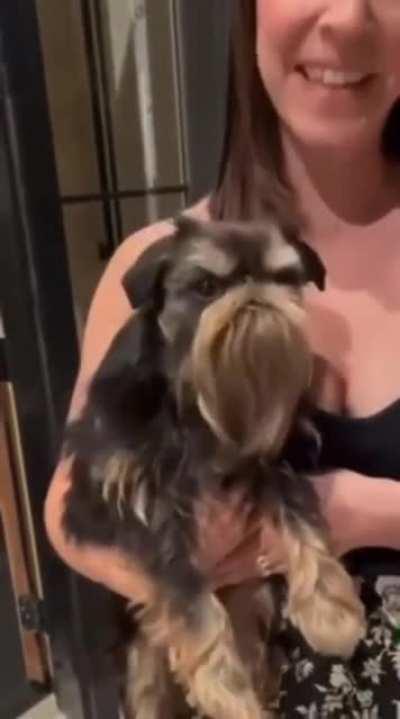 Oscar the grouch looking woofer