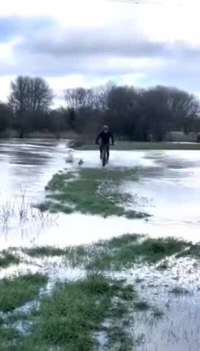 A normal day diving a bike