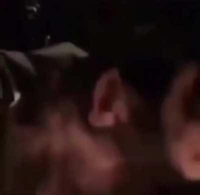 My apes when we kill an elephant