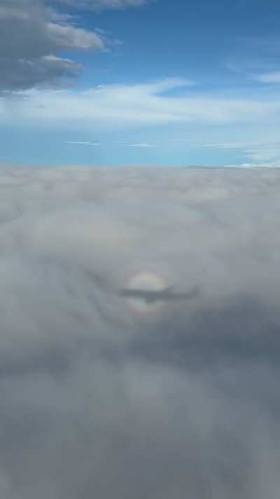 Rainbow halo around airplane shadow on cloud over Singapore