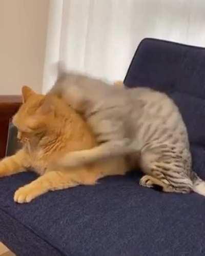 What's wrong with you?