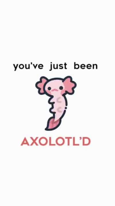 You've just been axolotl'd