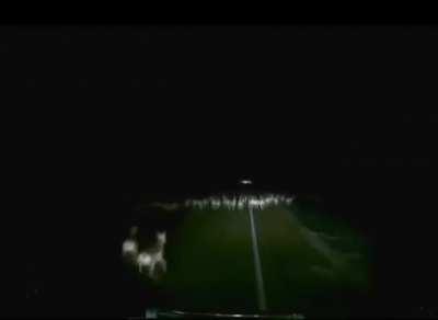 I only thought there were 2! (NSFW bc of animal death)