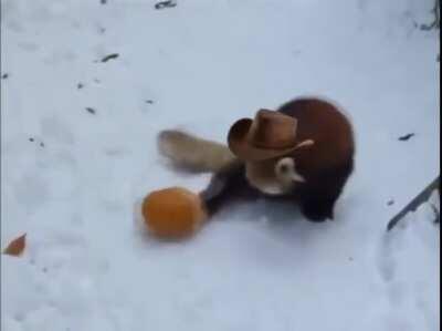 Leaked footage of console players finding a pumpkin when the event finally hits