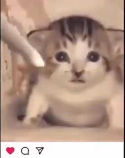 CONTENT WARNING: BAD