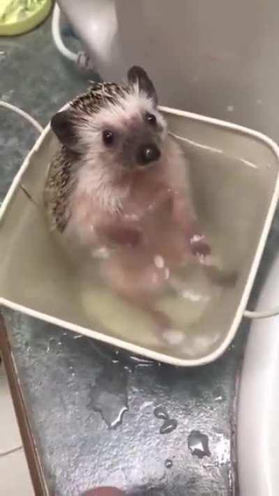 lil grabbies splish splashing