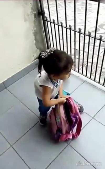 to take the dog to school