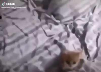 🤩🙄🤩🤪❤️🤓🤮🤩🤮💔🤑😷❤️😭😷😠🙄😠🙄🤑🙄🙄🤩