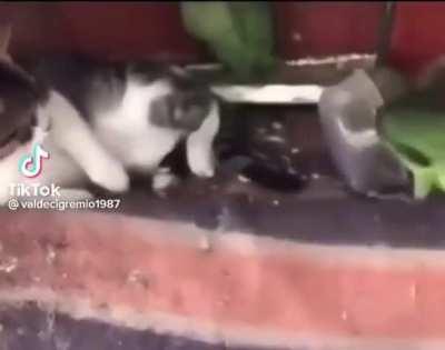 Life courses were altered this day.