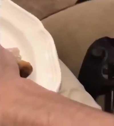 Thanks, I hate chicken