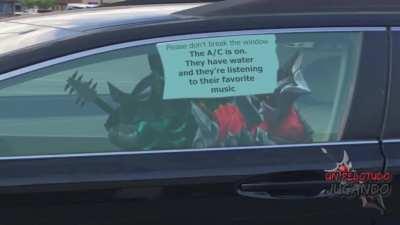 Please don't break the window