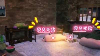 The ways he kills the animals...