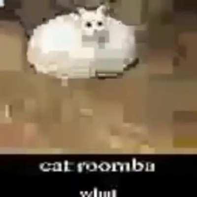 Meowldy Roomba