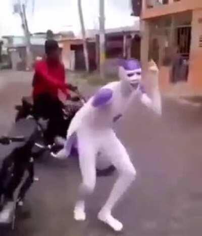 Mucho dragonbol seta