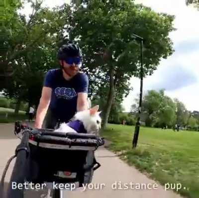 does not miss a single one