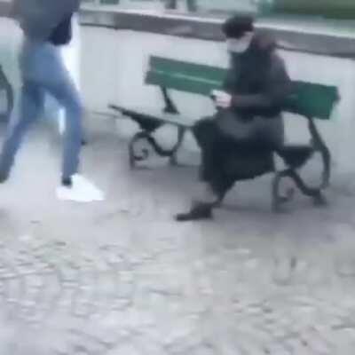 Try to kick birds, get trashed