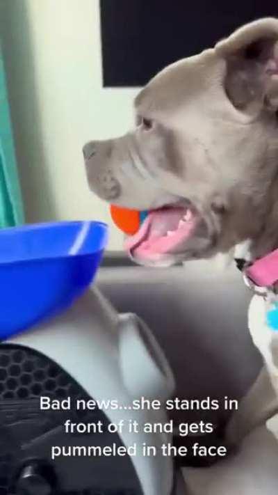 Sometimes you just need to feel something