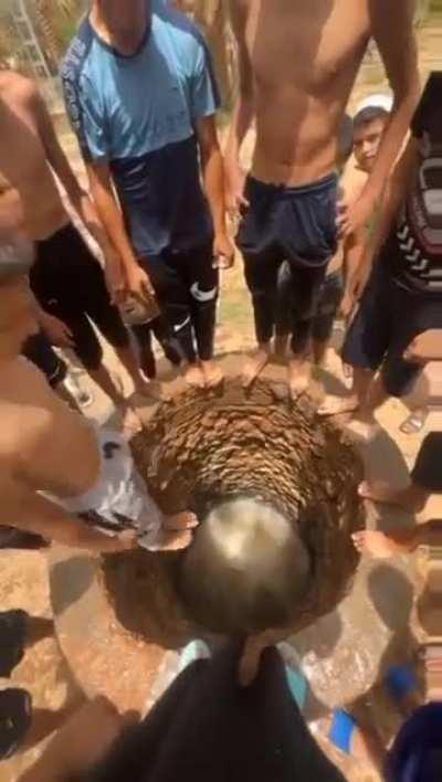 the pet to the abyss 