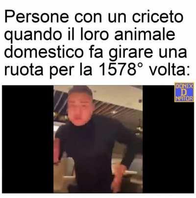 Si scherza signori del 1522 |Sfida settimanale #1|