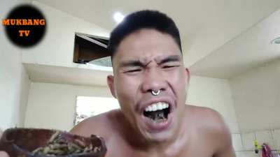 cursed_eatingmaggots