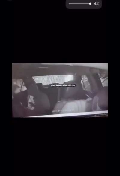 Wizard broom flyiet.