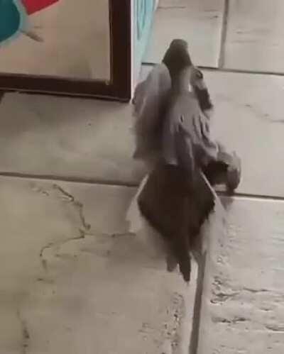 Found a wanted criminal!