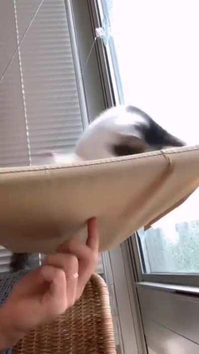 Sometimes it's best to be a pacifist