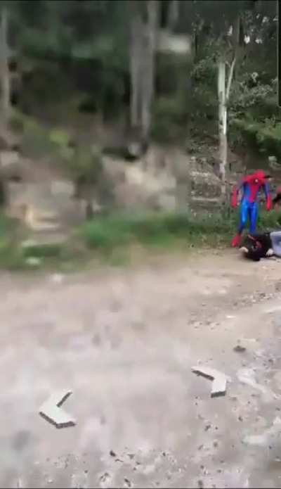 Araña de hombre