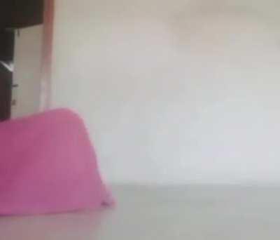 blursed_cat eater 3000