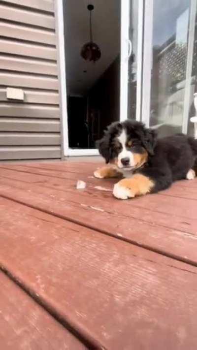 Dave there is something different about my water today and I love it!