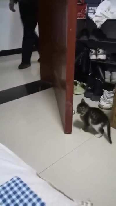 They are lucky to be alive