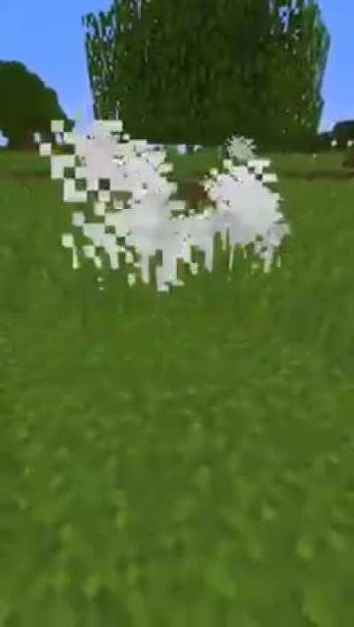 Wtf daBebe bizi WhatsApp adamlardan kurtarıyor