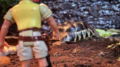 Stop motion with bumpy