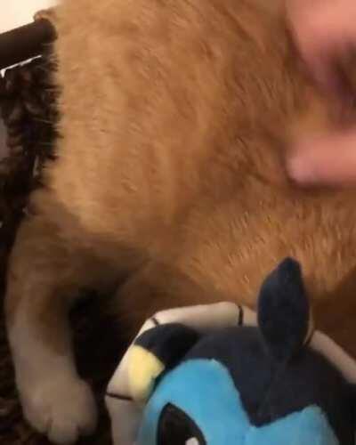 Butt scratches and Park and Rec