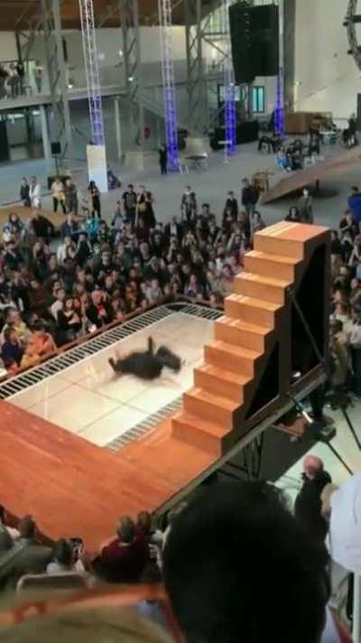 The Market in 2023 so far