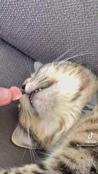 Tiktok teefies